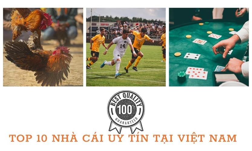 Đại học Wilmington đến 99ok123