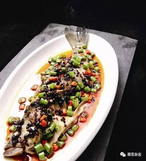 Ngành 99ok vin